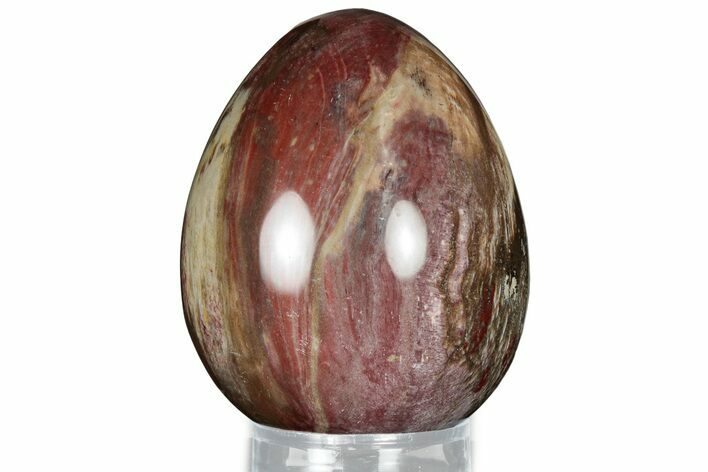 Colorful, Polished Petrified Wood Egg - Madagascar #318349
